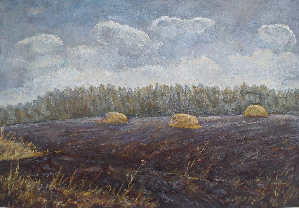 Поле перед дождем