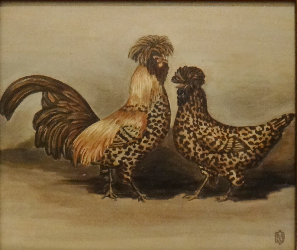 Куриная пара 2