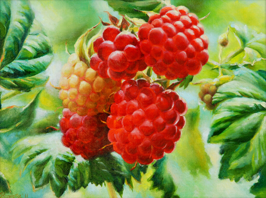 Ягода-малина