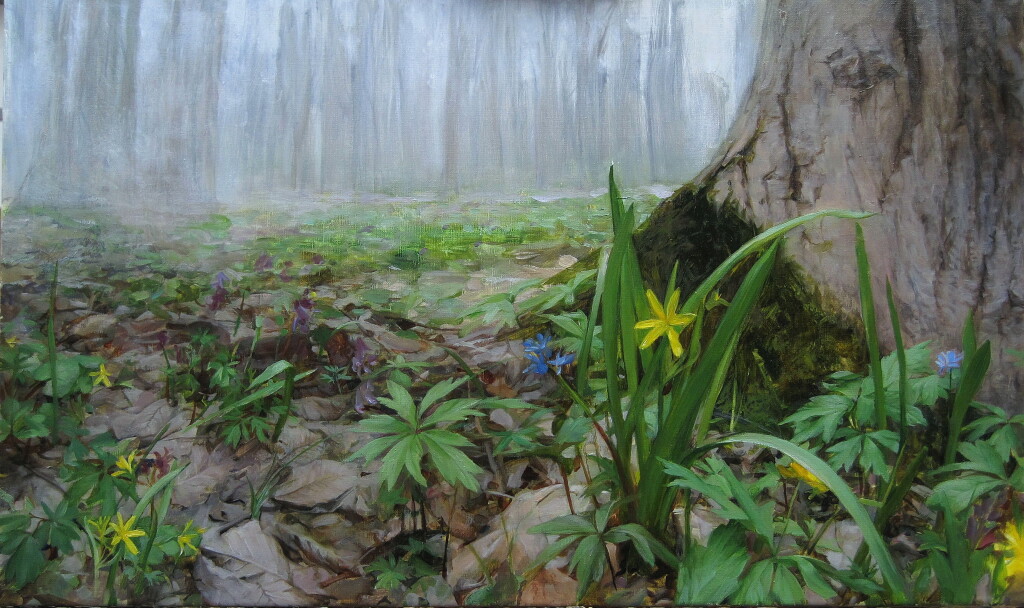 Упавшие звезды