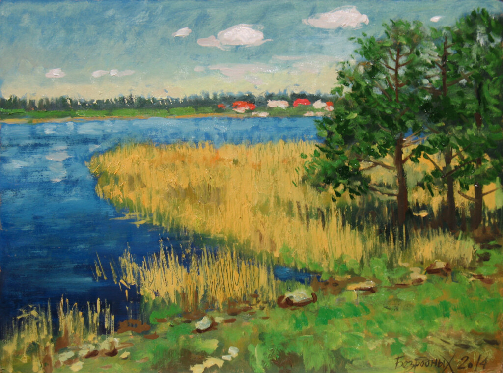 Прошлогодний камыш