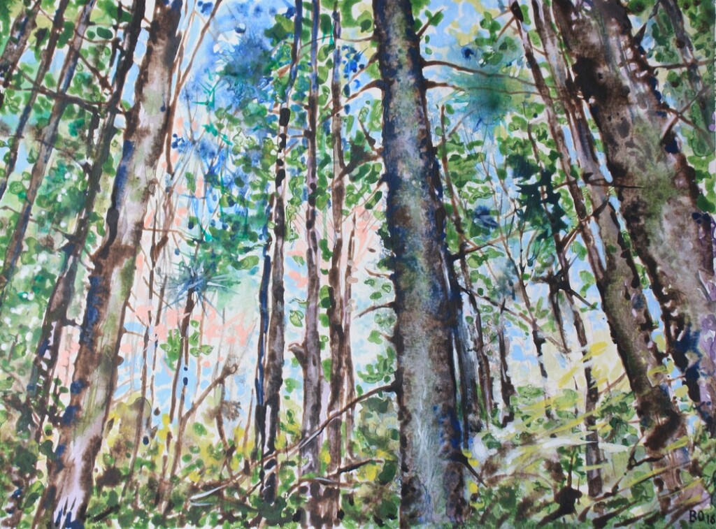 Утро в сосновом лесу. 1