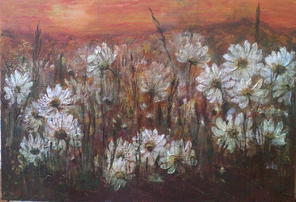 Ромашковое поле