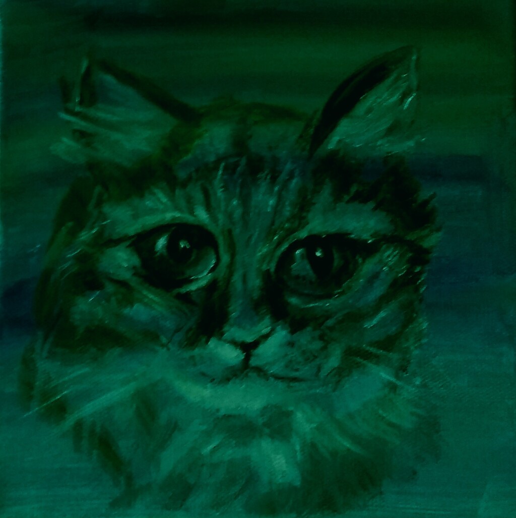 Кошки - 3 ( Мурка )