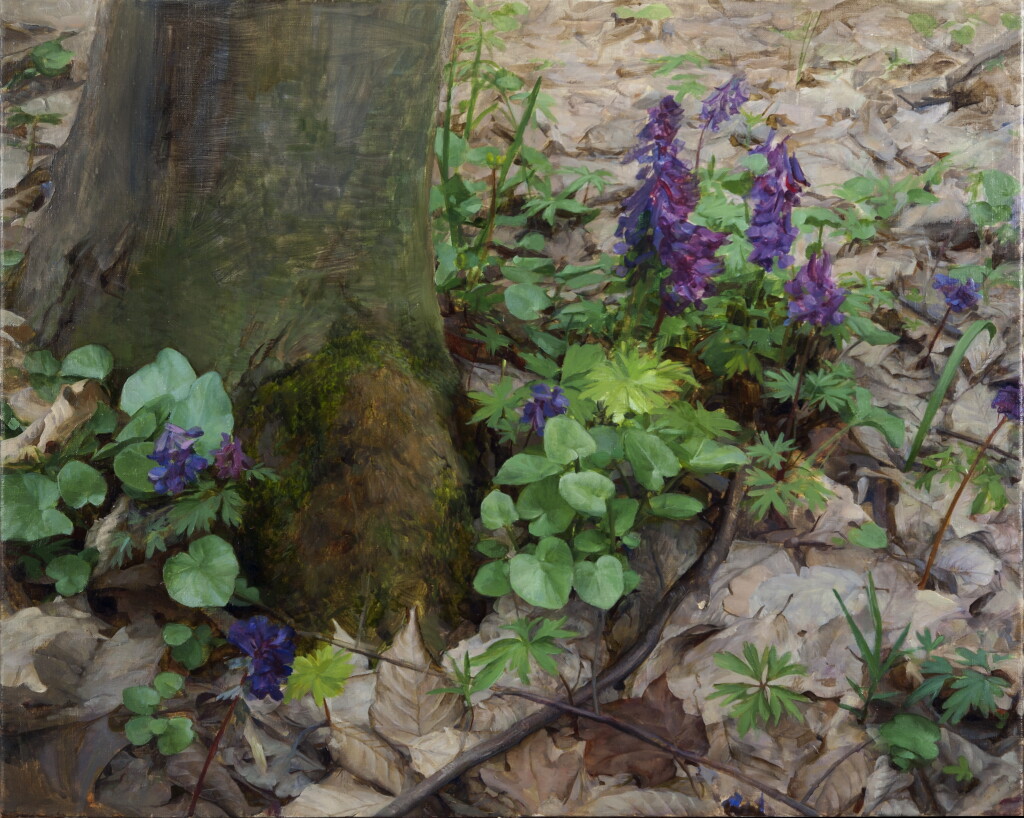 Весенние ковры