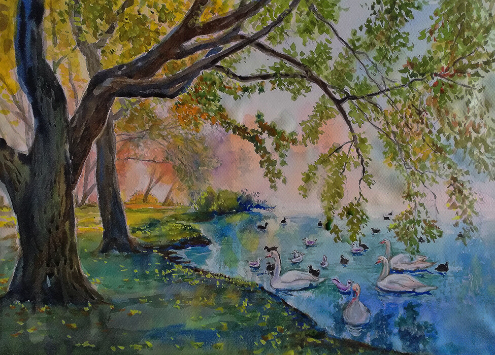 Утро в парке