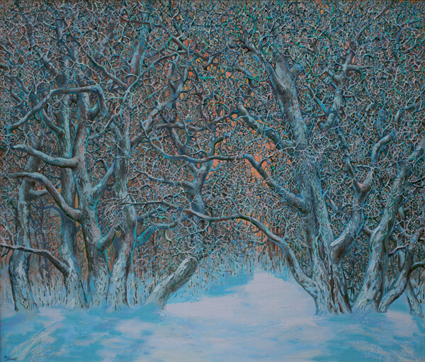 ритмы зимнего леса