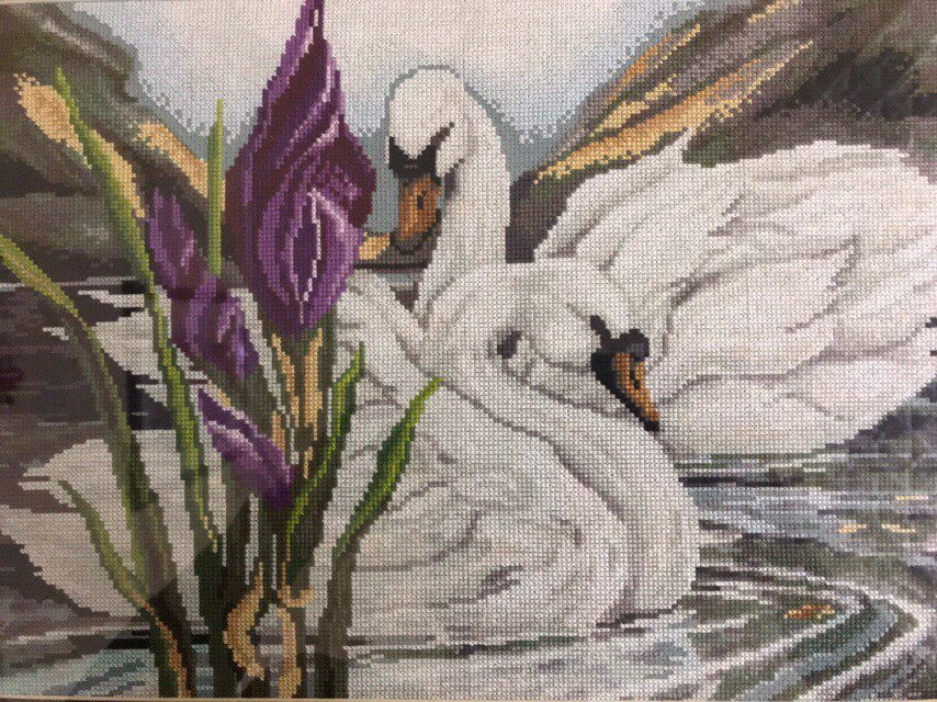 Идеальная пара