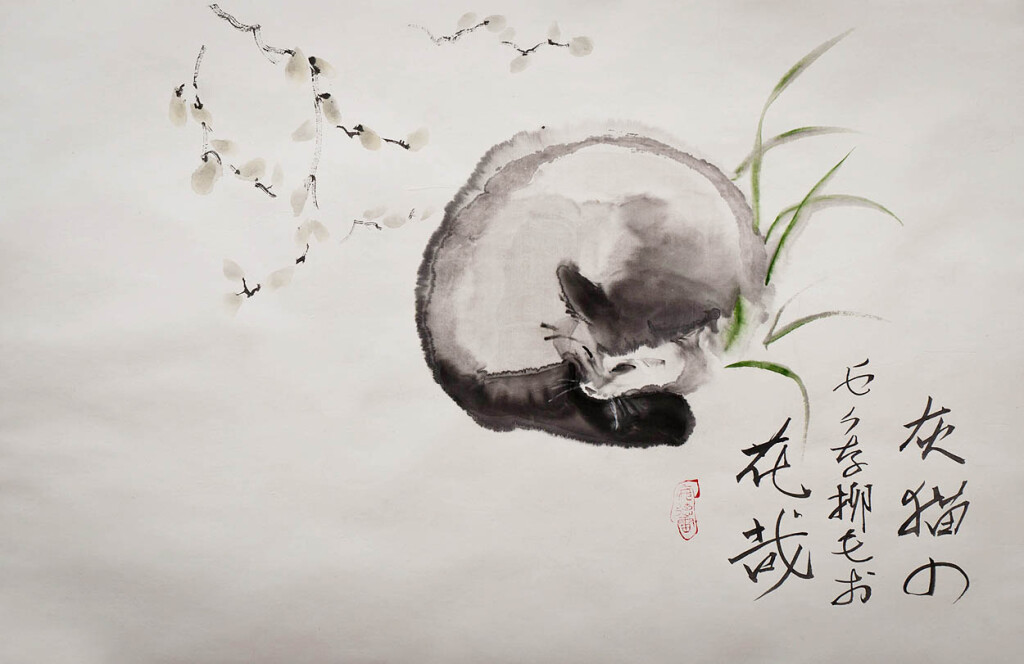 Спящий белый котёнок