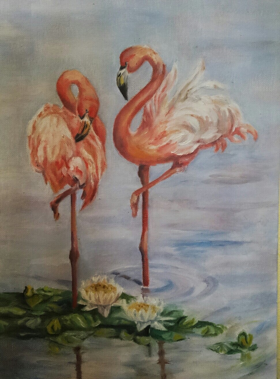 Розовые фламинго