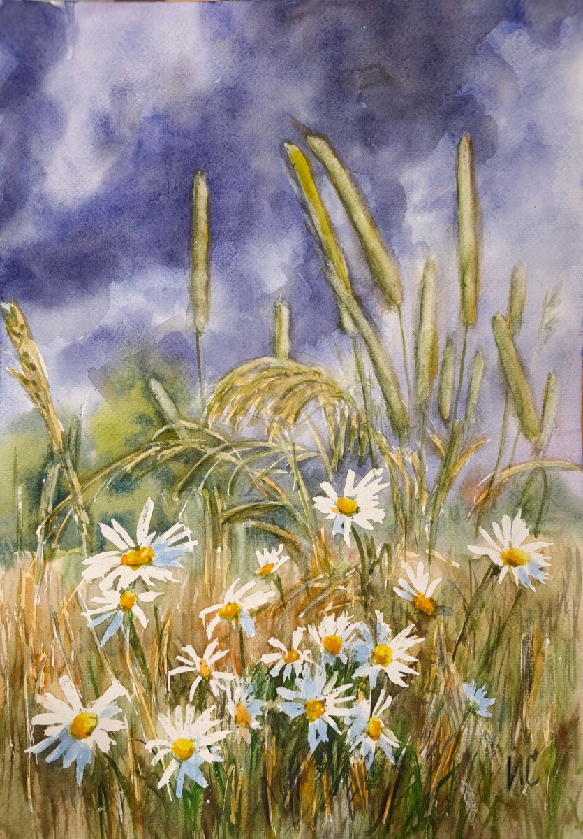 Пейзаж. Ромашки перед грозой