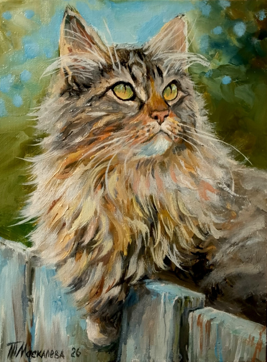 Не принцесса