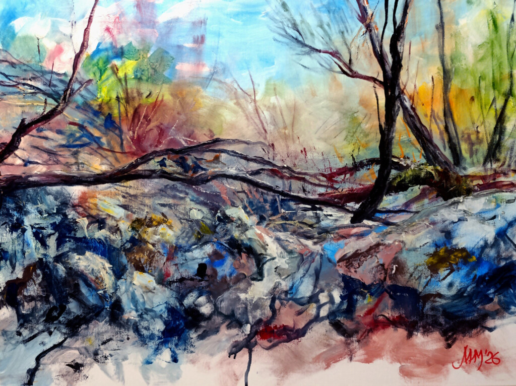 Гармония хаоса