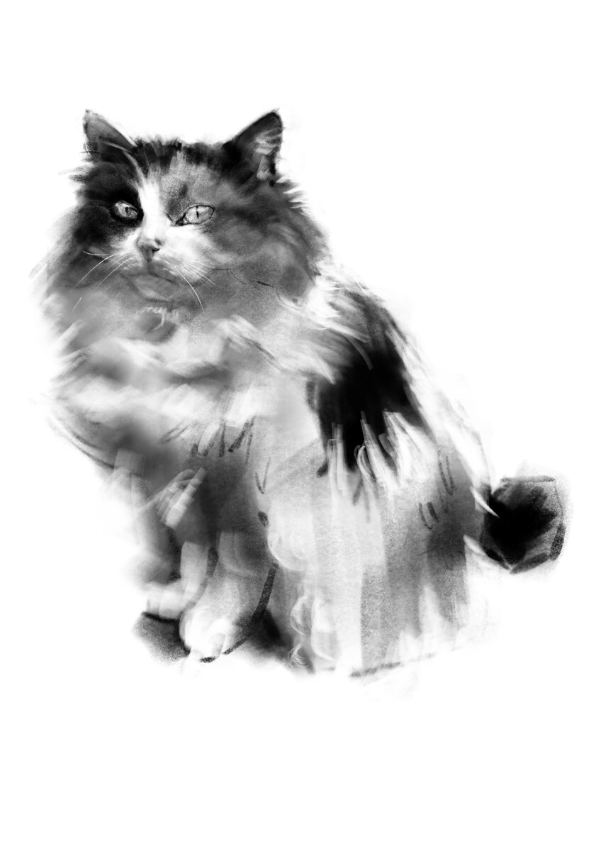 В ожидании лакомства