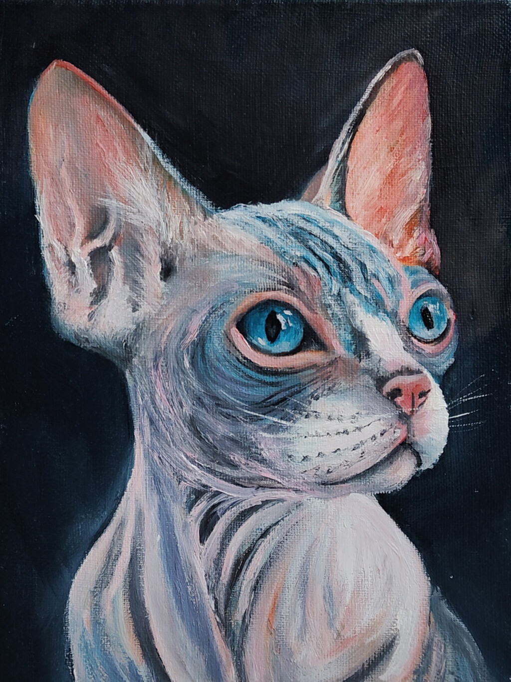 Канадский сфинкс