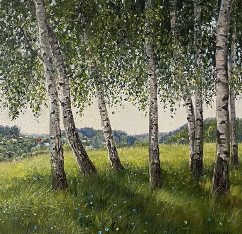 Березки у с.Горы