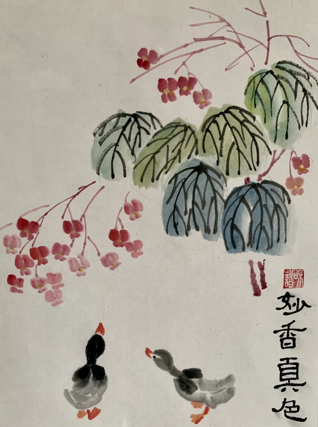 Цветут бегонии в саду,  Как ярок у них наряд!