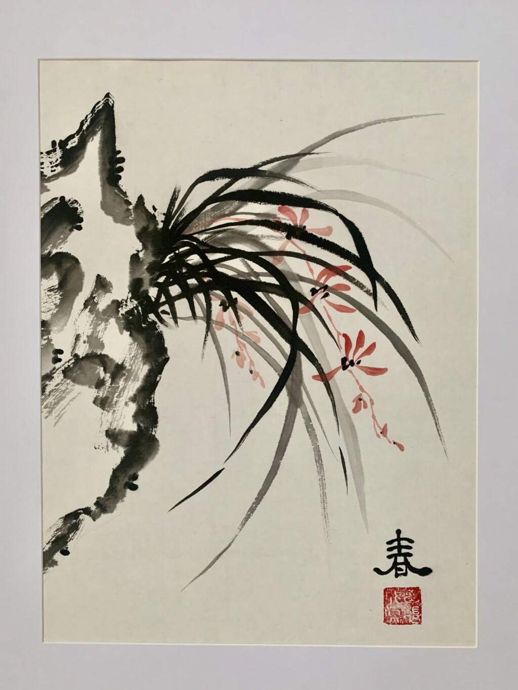 Цветение дикой орхидеи ранней весной