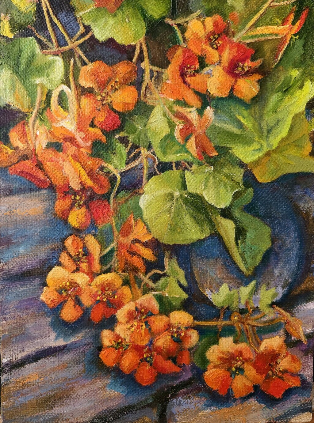 Солнечная настурция