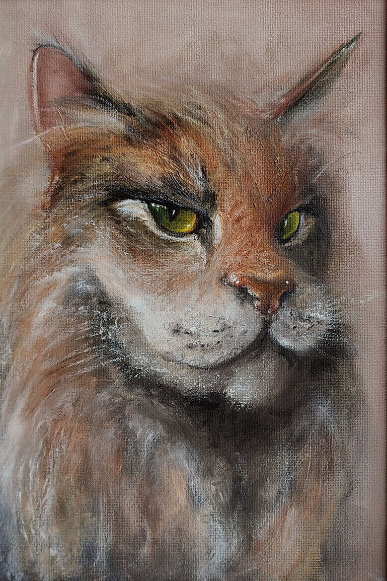 Кот. Просто Кот