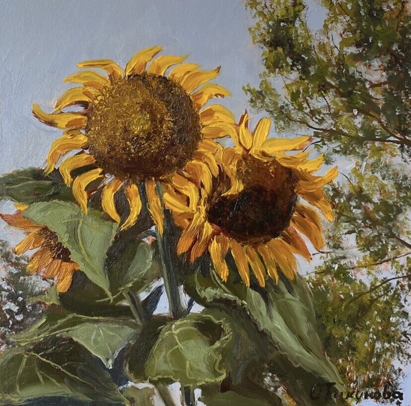 Подсолнухи