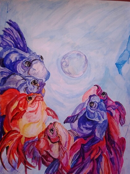 аквариум. пузырь.