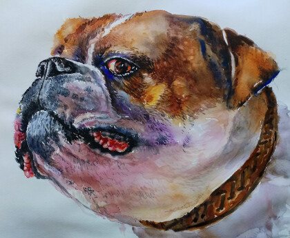 Толстый и сердитый