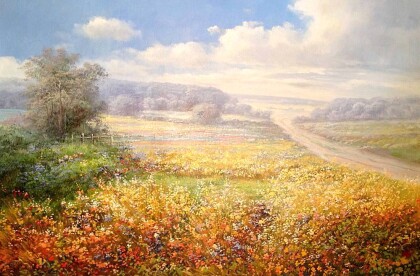 Летнее поле