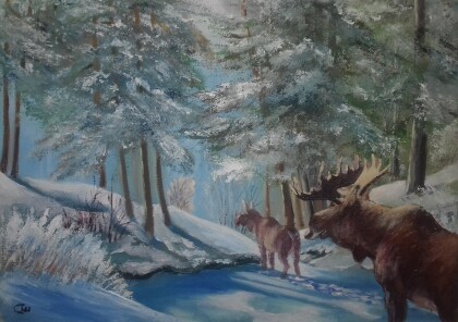 Лоси на прогулке