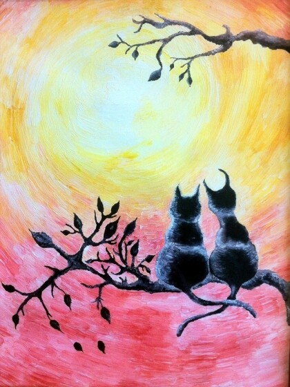 Влюбленность кошек