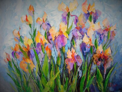Ирисы