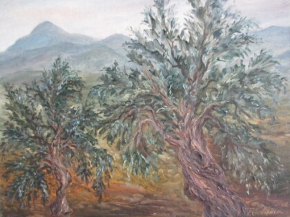 Оливки пасмурным днем