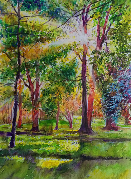 Солнечный дар