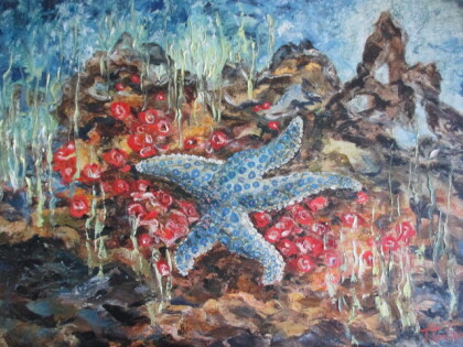 Морская звезда