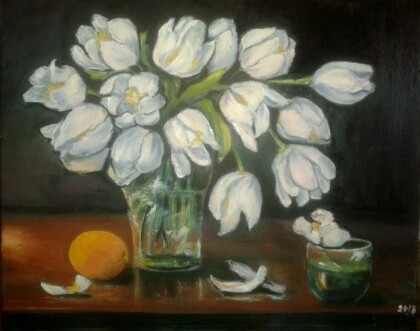 белые тюльпаны