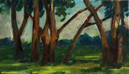 Деревья на солнце