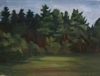 Полянка в лесу