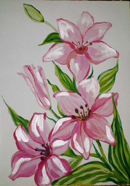 Розовые лилии
