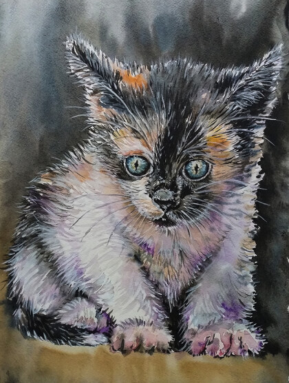 Гадкий котенок