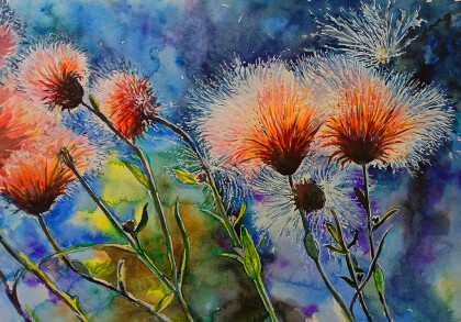 Июльский сорнячек