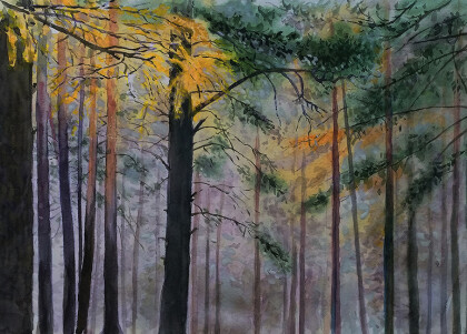 Осенние проблески