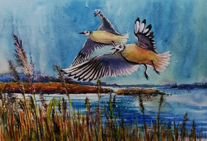 Птичий патруль