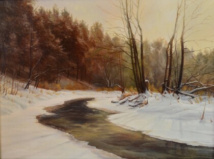 Плиса зимним утром