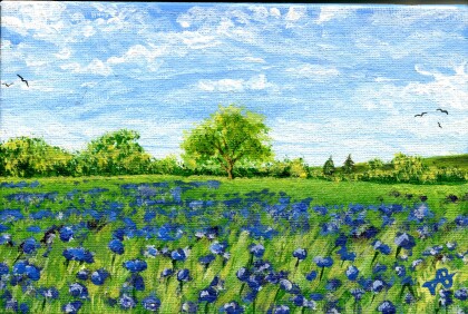 Поле в цветах