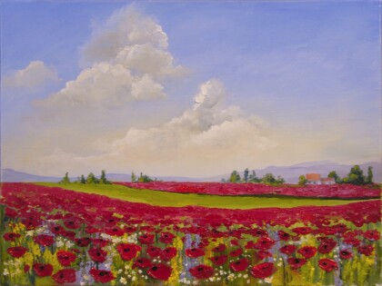 Маковые поля