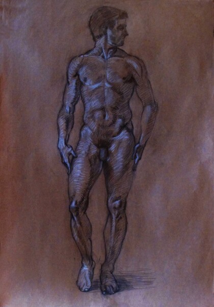 Мужская обнаженная фигура