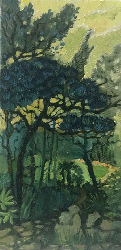 «Зеленое озеро»