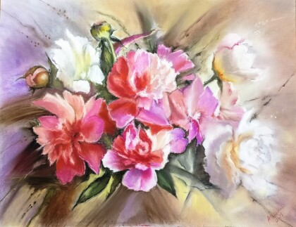 Пионы розовые