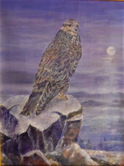 Туманное утро сапсана