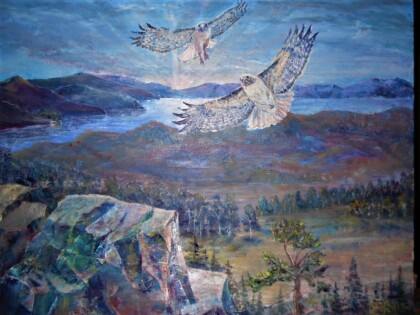 Соколиные игры